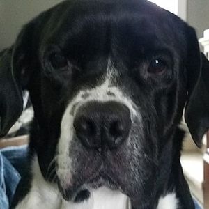 Meet your Posher, Melinda